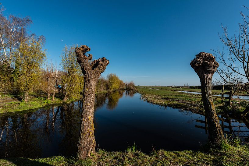 Wasserlandschaften von Brian Morgan