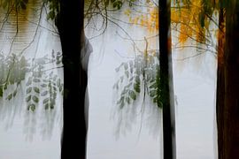 JOUR D'AUTOMNE 8 sur Miroslav Ptacek