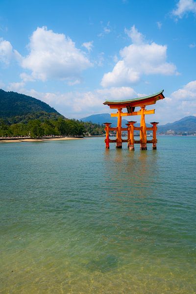 Torii gate in Japan van Mickéle Godderis