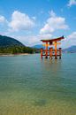 Torii gate in Japan van Mickéle Godderis thumbnail