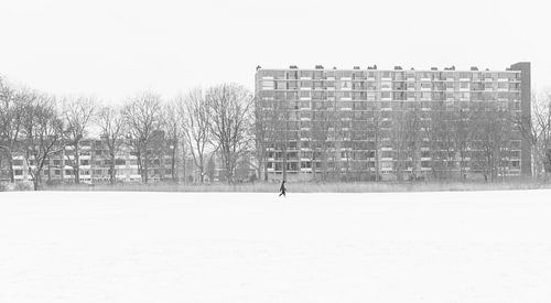 Wandeling in winterwonderland