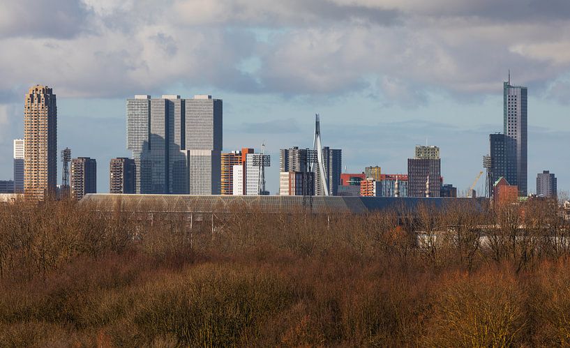 Le stade Feyenoord De Kuip à Rotterdam avec le Kop van Zuid à l'arrière-plan par MS Fotografie | Marc van der Stelt