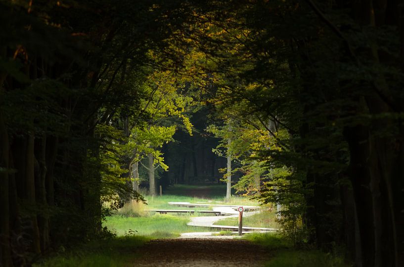 Doorkijk Vlonderpad von Edwin Fennema
