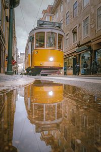 réflexion du tramway