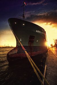 Het schip de Arklow met de zon er achter in Rotterdamse haven in Nederland van Bart Ros