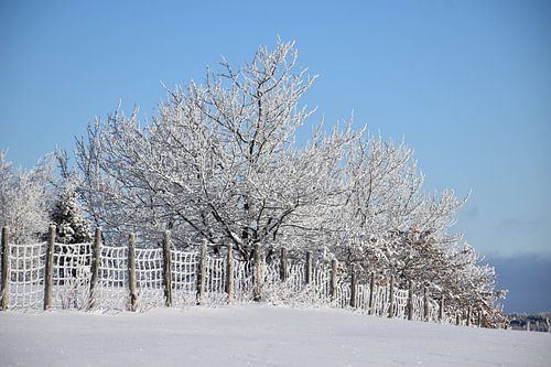 Een besneeuwd hek na de storm