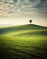 Esthetisch minimalisme