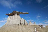 Bisti Badlands in de winter New Mexico, USA van Frank Fichtmüller thumbnail