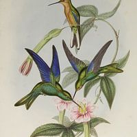 John Gould