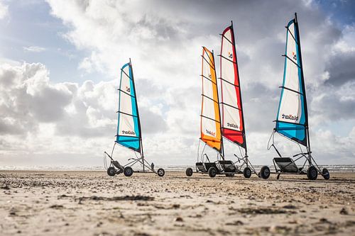 Blokarten op het strand van Texel