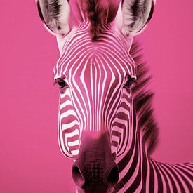 Zebra rosa von Wall Wonder