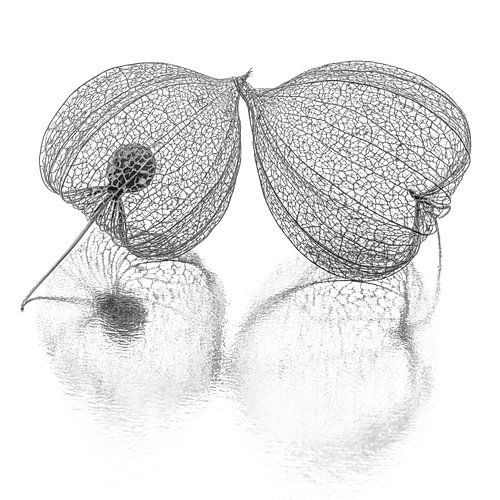 Stilleven: Empty Inside (zwart - grijs - wit)