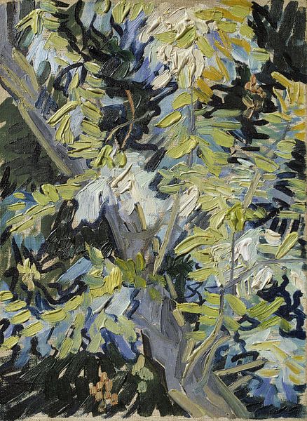 Acacia en fleurs, Vincent van Gogh - vers 1890 par Het Archief