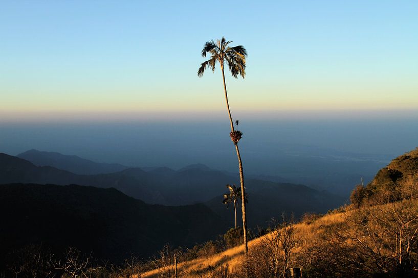 Colombie, Sierra Nevada par Anneke Ruys