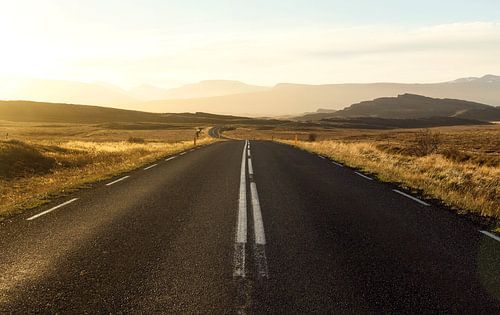 The way to the light