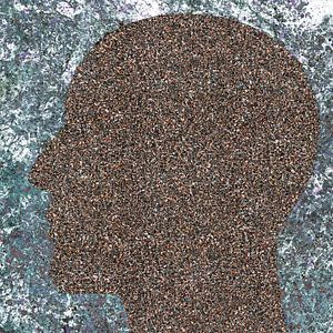 Der Kopf