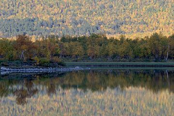 Vistasvaggi im Herbst, Lappland von Nick Wendt