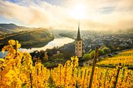 De Moezellus, een prachtige rivier in Duitsland, maakt een lus van 180 graden. met wijngaarden en ee van Fotos by Jan Wehnert thumbnail