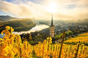 Die Moselschleife, ein wunderschöner Fluss in Deutschland, macht eine 180-Grad-Schleife. mit Weinber