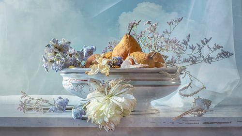 Still life 'Silent decay'