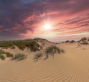Paysage de dunes, Egmond aan Zee, Hollande du Nord sur Rene van der Meer