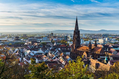 Duitsland, Stad freiburg im breisgau skyline met kathedraal