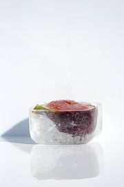 Feige im Eis von Heike Hultsch