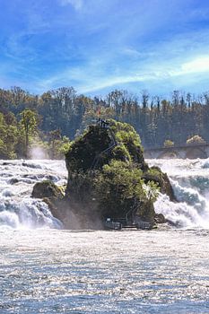SCHWEIZ : RHEINFALL SCHAFFHAUSEN
