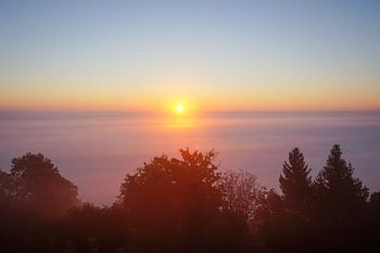Panorama zonsopgang boven wolkendek in de Vogezen
