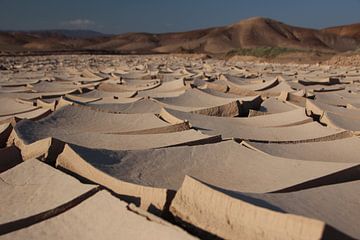 Gespleten aardkorst, Nationaal Park Pan de Azúcar, Chili van A. Hendriks