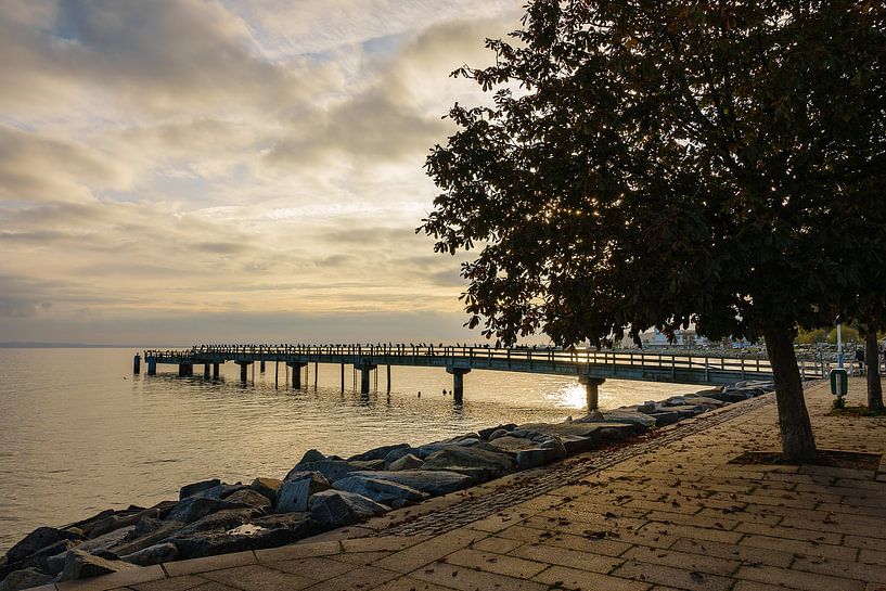 Promenade im Herbst in Sassnitz auf der Insel Rügen von Rico Ködder