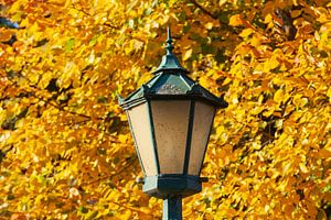 Straßenlaterne, Laterne, Herbstlaub, Bremer Wallanlagen, Bremen, Deutschland