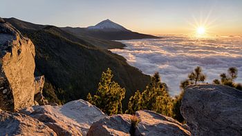 Coucher de soleil sur le Teide à Ténérife – Une mer de nuages baignée dans la lumière dorée du soir