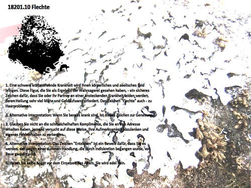 Lichen 18201.10