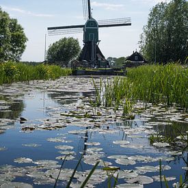 Hollandse windmolen van Lenslicht Fotografie