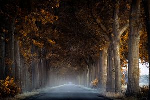 Einsame Straße von Kees van Dongen