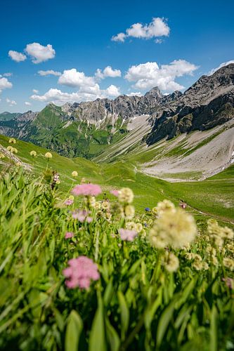 Bloemrijk uitzicht op de Hintersteiner vallei en de Hochvogel