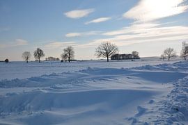 Snowdrifts near Neukamp, Putbus, Island of Rügen by GH Foto & Artdesign