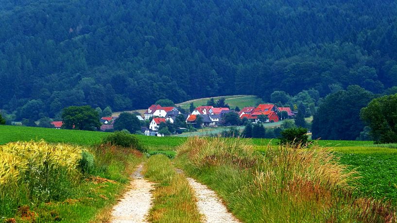 Weserbergland (Landschap nabij de Wezer) van Caroline Lichthart