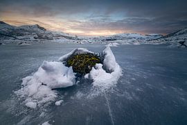 Fjorde Lofoten von Peter Poppe