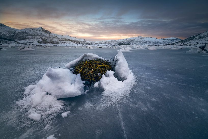 Fjorden Lofoten van Peter Poppe