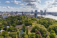 Zicht op de Erasmusbrug von Menno Schaefer Miniaturansicht