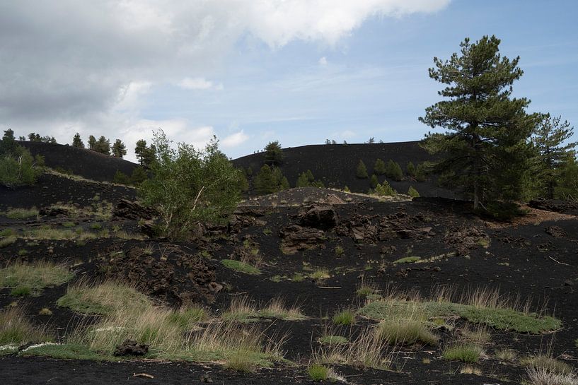 Dark - light van Michelle van Merrienboer