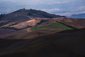 Les collines de Toscane avec de belles couleurs chaudes