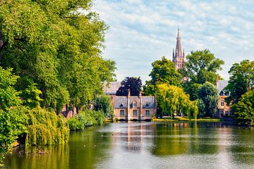 Le parc Minnewater à Bruges sur Martijn