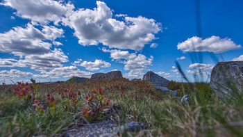 Landschaftsfoto während eines schönen Frühlingstages im Nationalpark Dartmoor, England