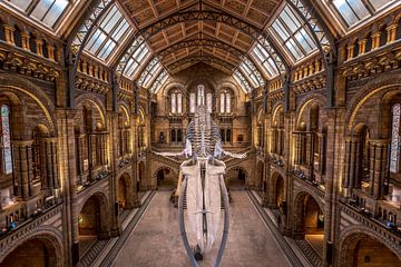 Natural History Museum London van Rene Ladenius Digital Art