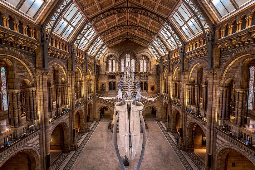 Natural History Museum London par Rene Ladenius Digital Art