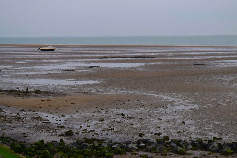 Boot in zandbank op Texel, Waddeneiland in Nederland van Studio LE-gals