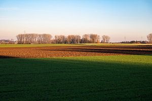 L'heure d'or sur les terres arables flamandes sur Werner Lerooy